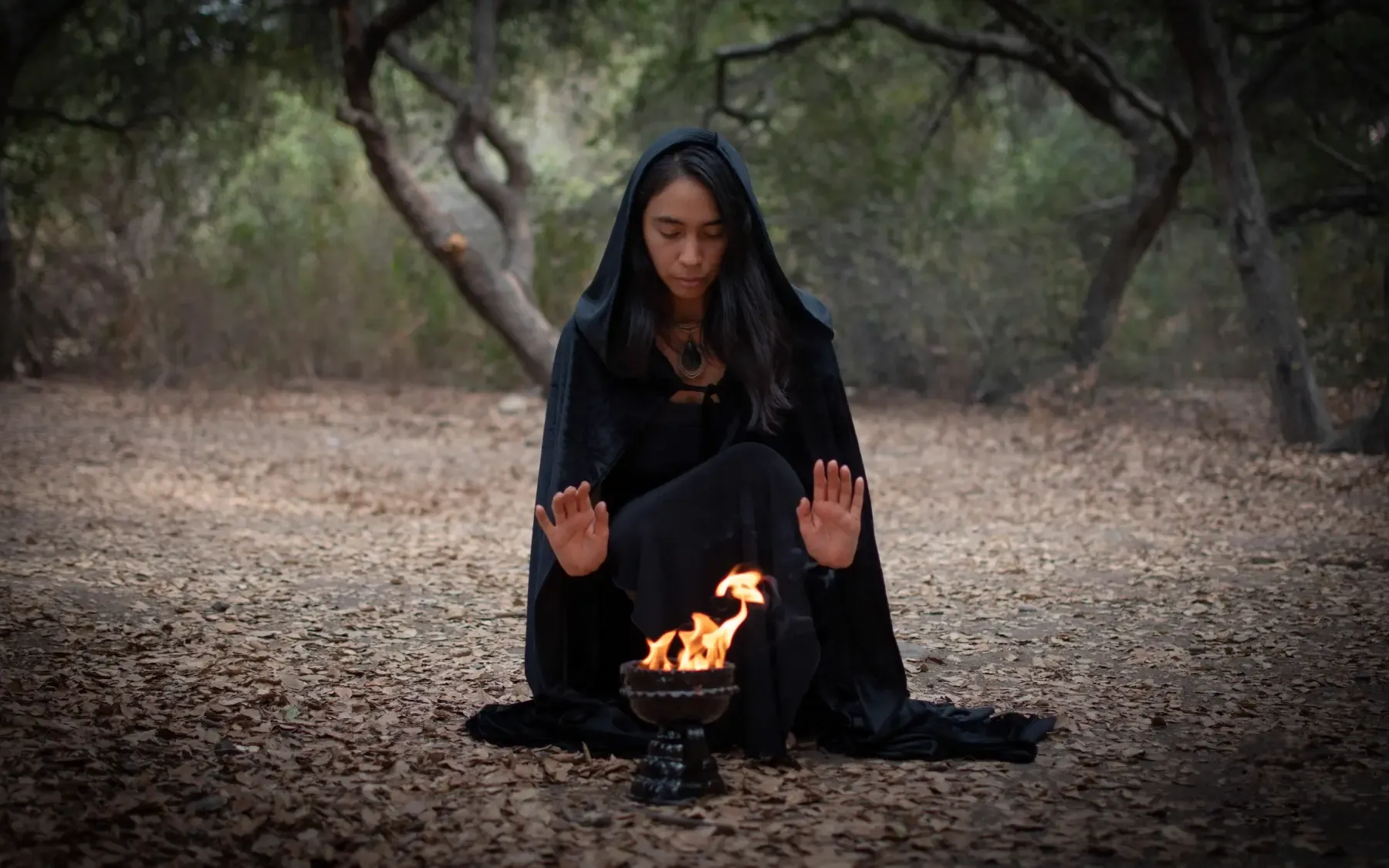 Fondo decorativo del encabezado