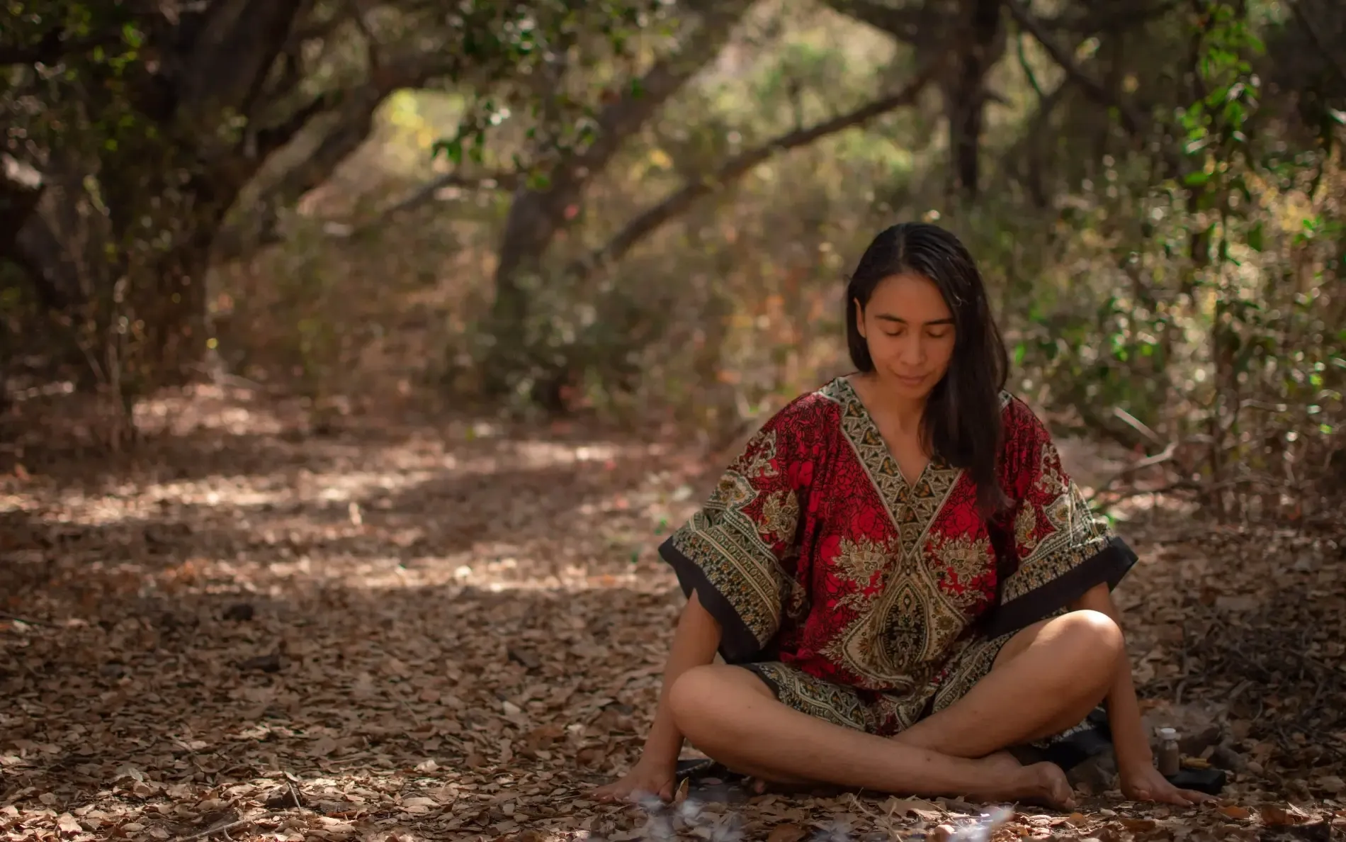 Fondo decorativo del encabezado