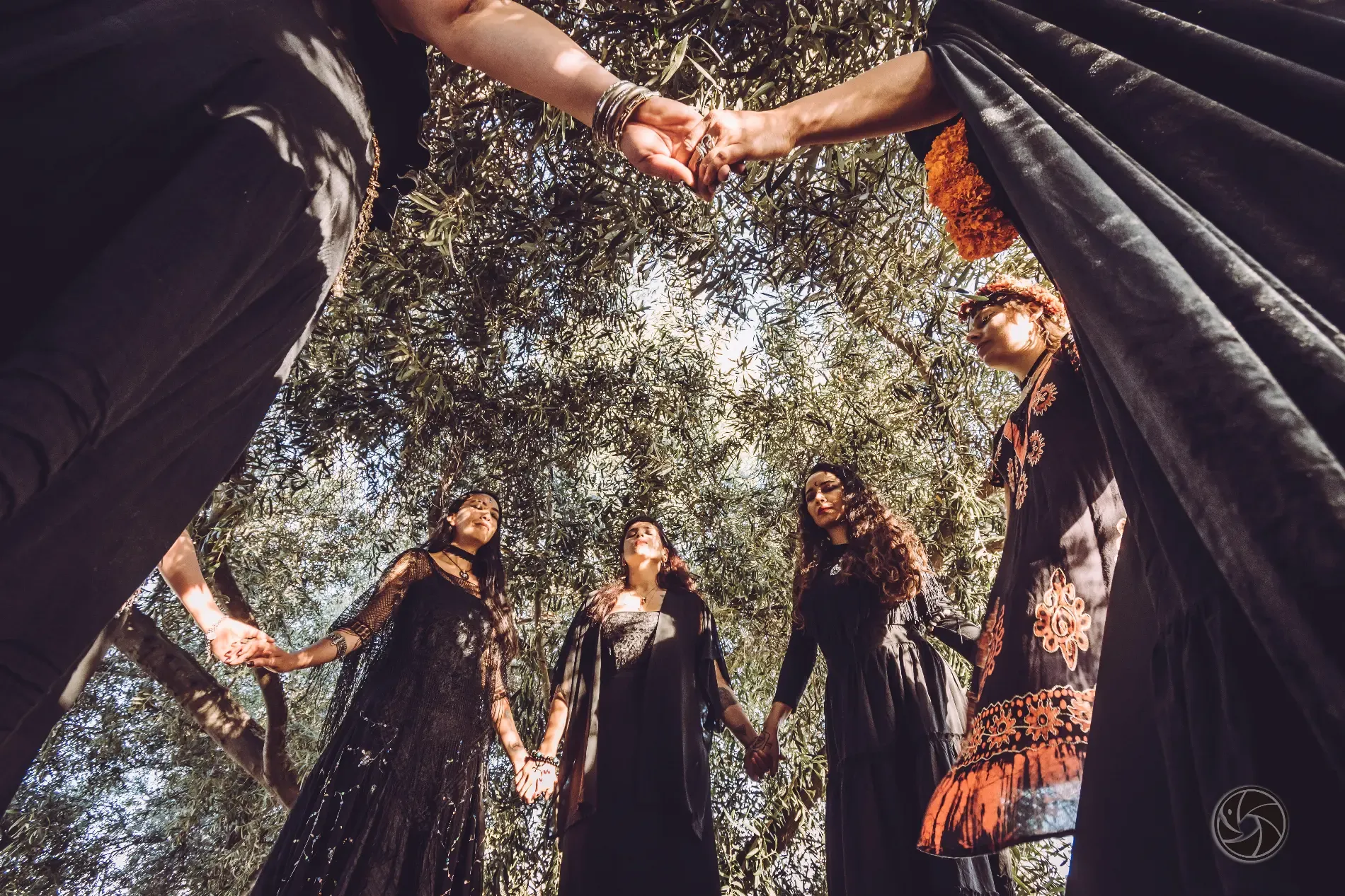 Fondo decorativo del encabezado