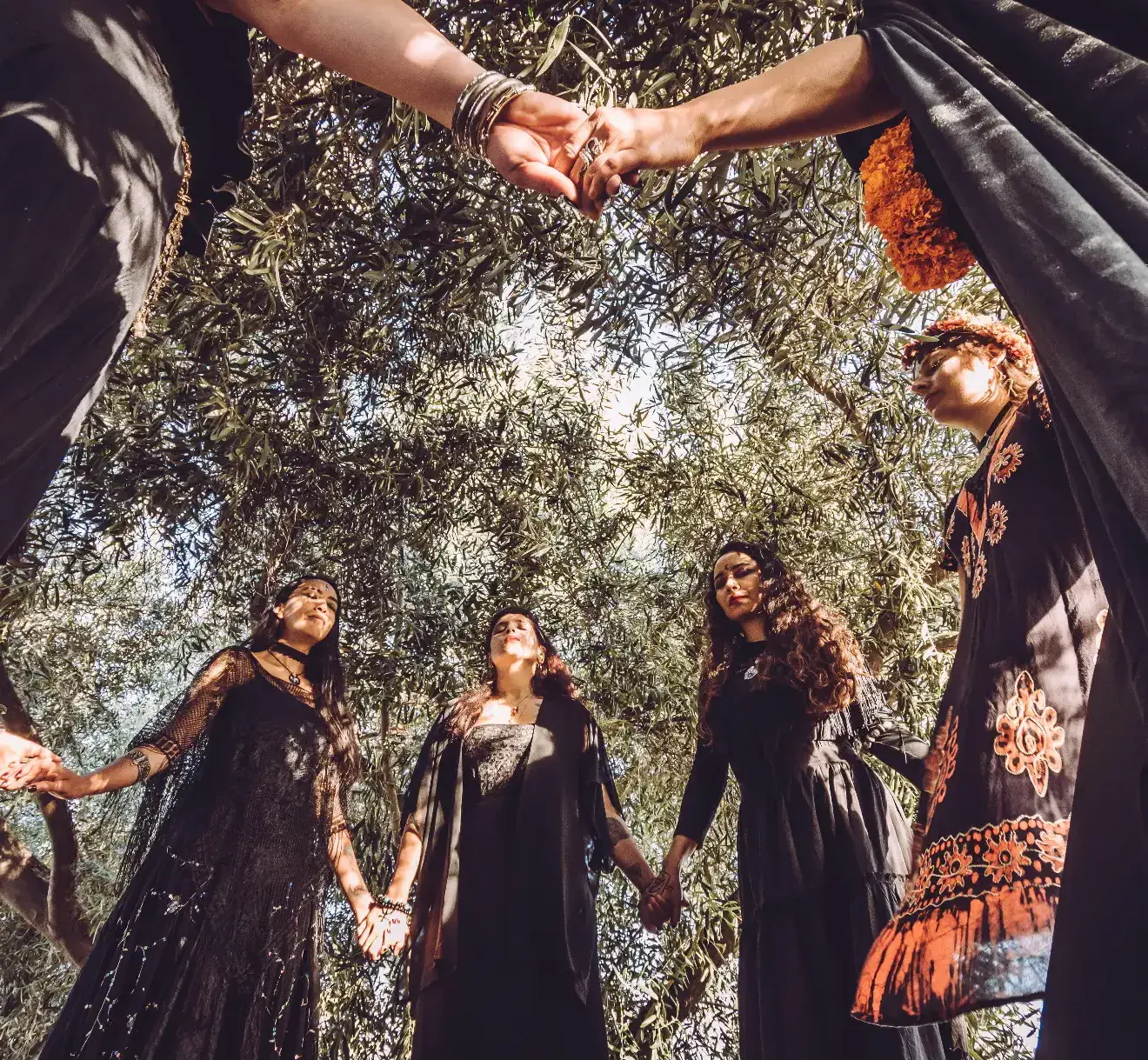 Fondo decorativo del encabezado