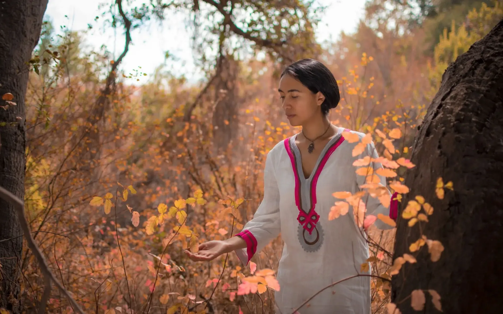 Fondo decorativo del encabezado