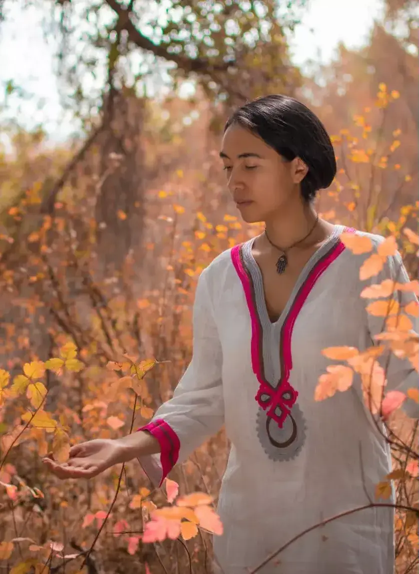 Fondo decorativo del encabezado